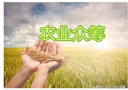 如何可以有效的销售农产品,新手如何做好卖农产品的推广