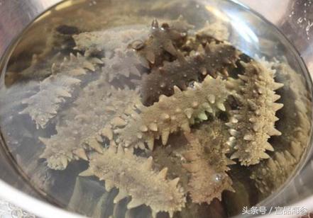 多吃这5种美食改善体质养生养颜,主食这么吃既有营养又能排毒