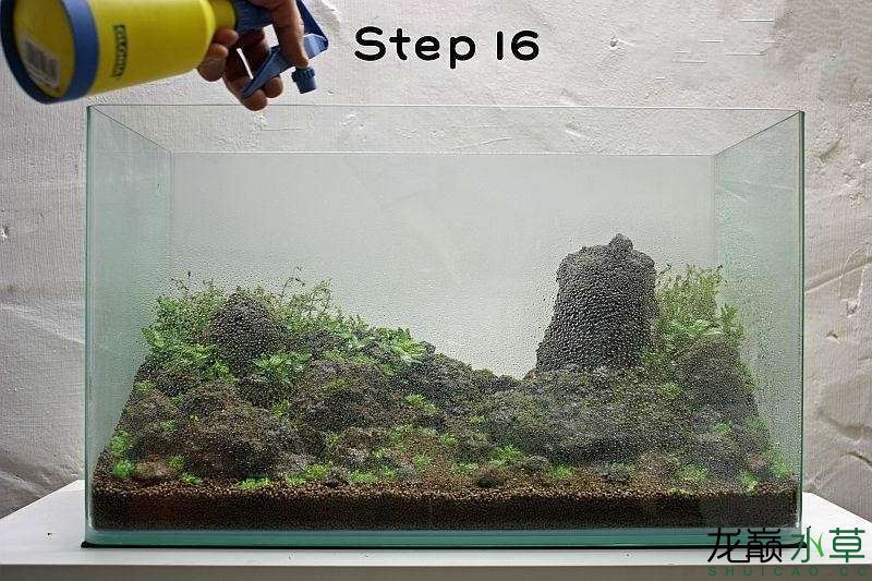 水草造景之我见-水草造景详细开缸教程及相关常见问题预防解答