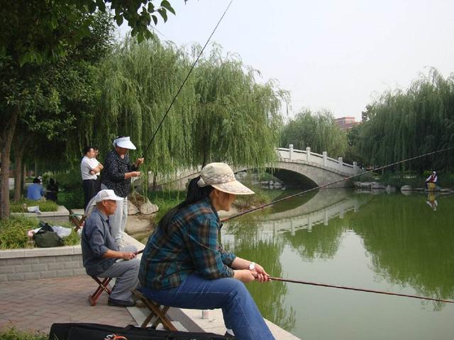 自动钓鱼竿钓大草鱼的方法,自动钓鱼竿钓草鱼水深多少合适