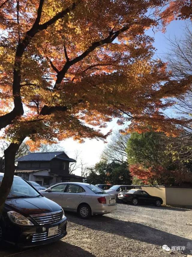 京都雾霾在哪里,冬天去京都合适吗