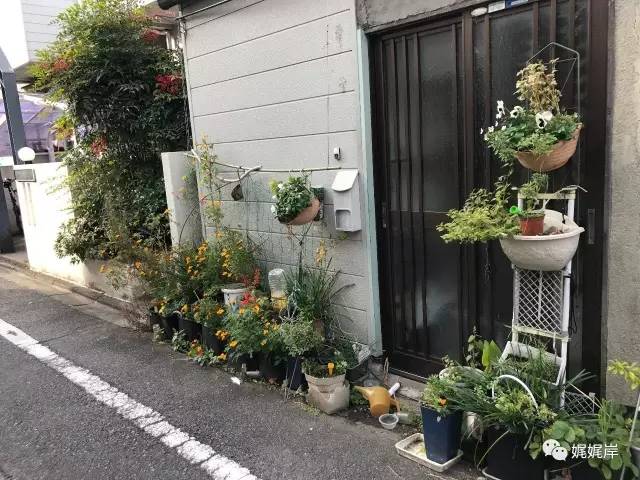 京都雾霾在哪里,冬天去京都合适吗