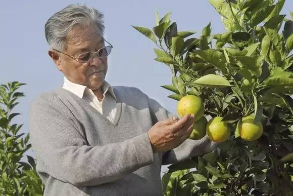 烟草大王的结局,烟草大王为何入狱