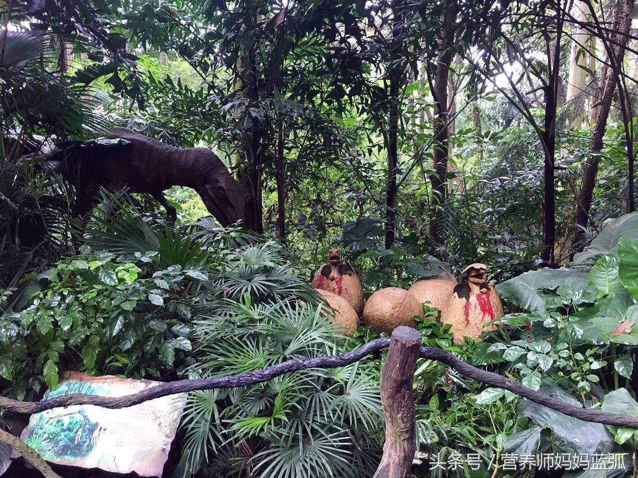 5.1带孩子去长隆推荐,带娃广东长隆欢乐世界游玩攻略