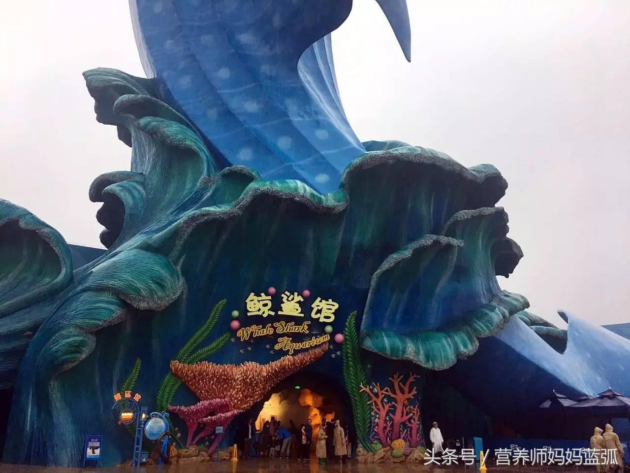 5.1带孩子去长隆推荐,带娃广东长隆欢乐世界游玩攻略