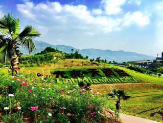 踏春寻觅处相约北碚花海节情定光亮·天润城