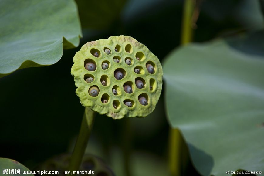 地道小吃童年味道,什么样的美食叫怀旧美食