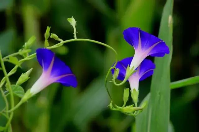 母亲生病散文,关于生病的伤感散文