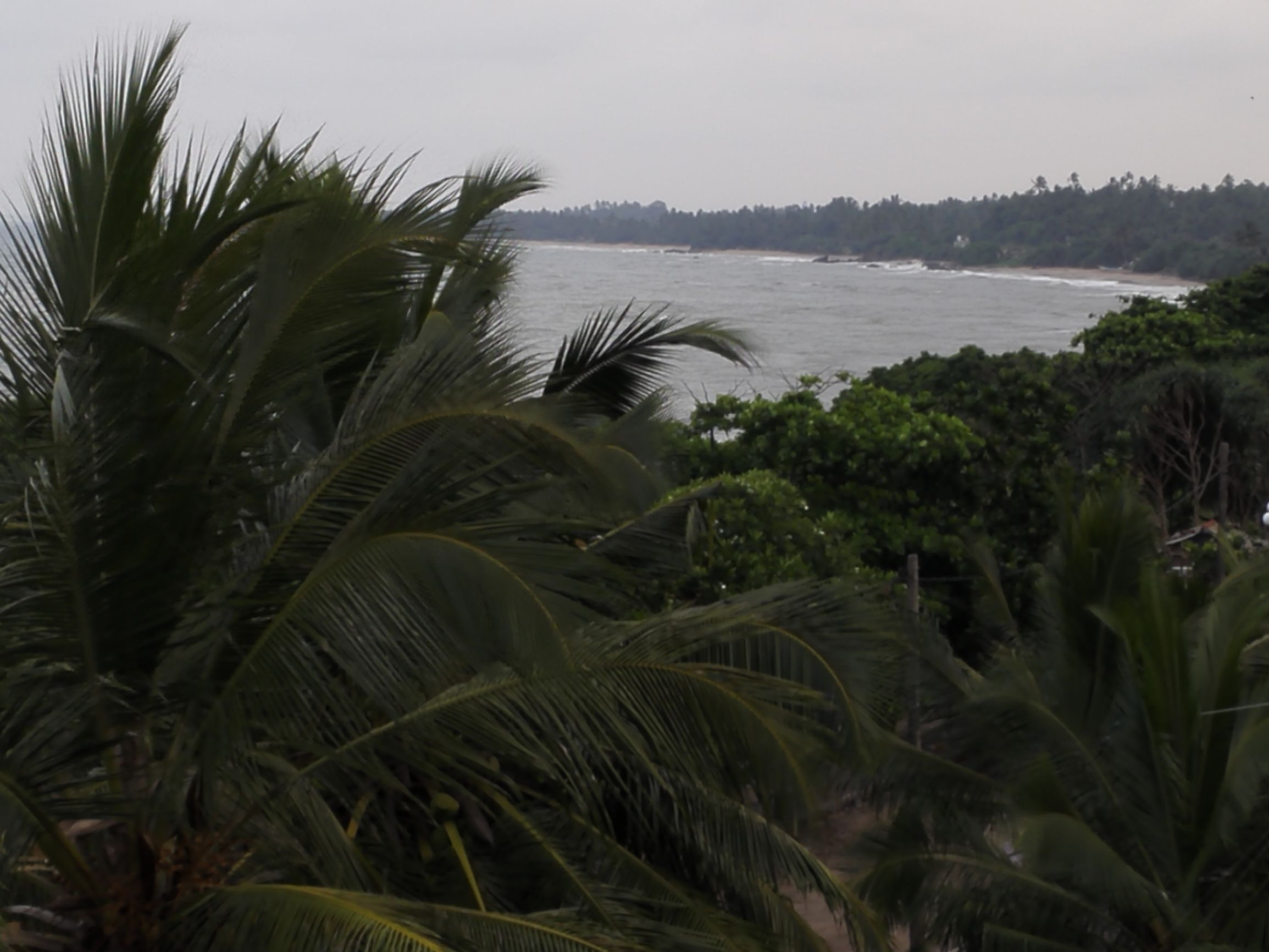 斯里兰卡宝石怎么选,斯里兰卡矿区宝石值得购买吗