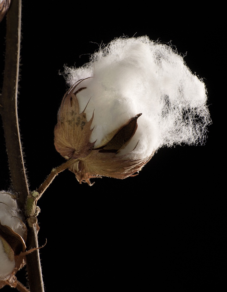 纺织纤维衣服好不好,纺织纤维的衣服质量怎么样