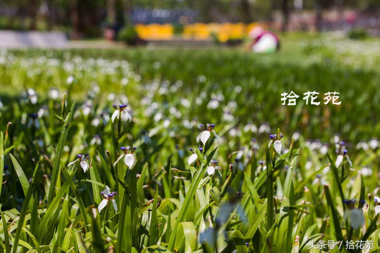 福州五一海边旅游推荐,福州五一海边游