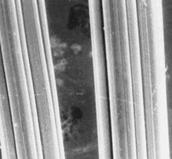 纺织纤维衣服好不好,纺织纤维的衣服质量怎么样