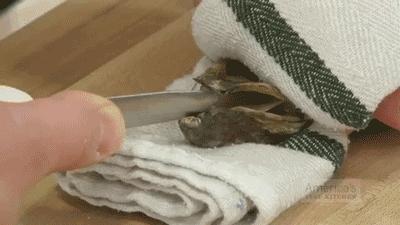 法国生蚝种类有哪些,丹麦生蚝的正确打开方法