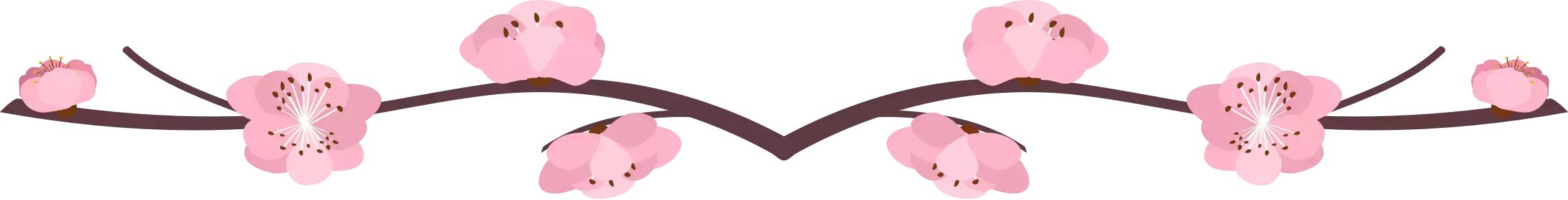 莫负春光辽宁赏花踏青攻略来了,辽宁最美十大花海