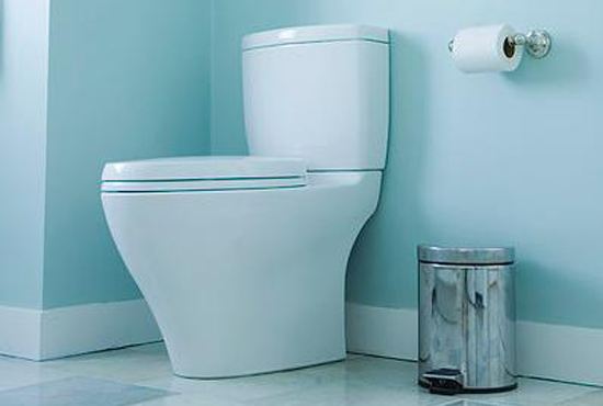 让人怀疑人生的十个问题,卫生纸是扔纸篓还是直接扔马桶