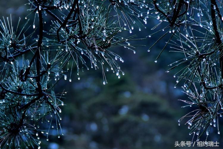 黄山水墨画风景千里江山图,原来古代水墨画是真的黄山