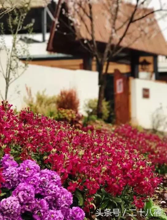 陶渊明笔下的世外桃源是什么样的,陶渊明悠然见南山的南山在哪里