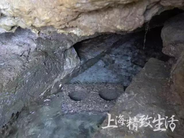 为这篇矿泉水测评,我们误了24小时的飞机,20瓶水,拿去不谢