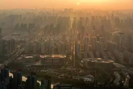 万万没想到，PM2.5二次生成，树木也有“贡献”