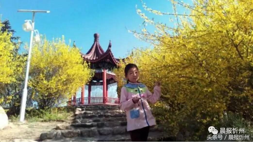 创文明城市特别策划：“我眼中最美春天”随后拍作品7