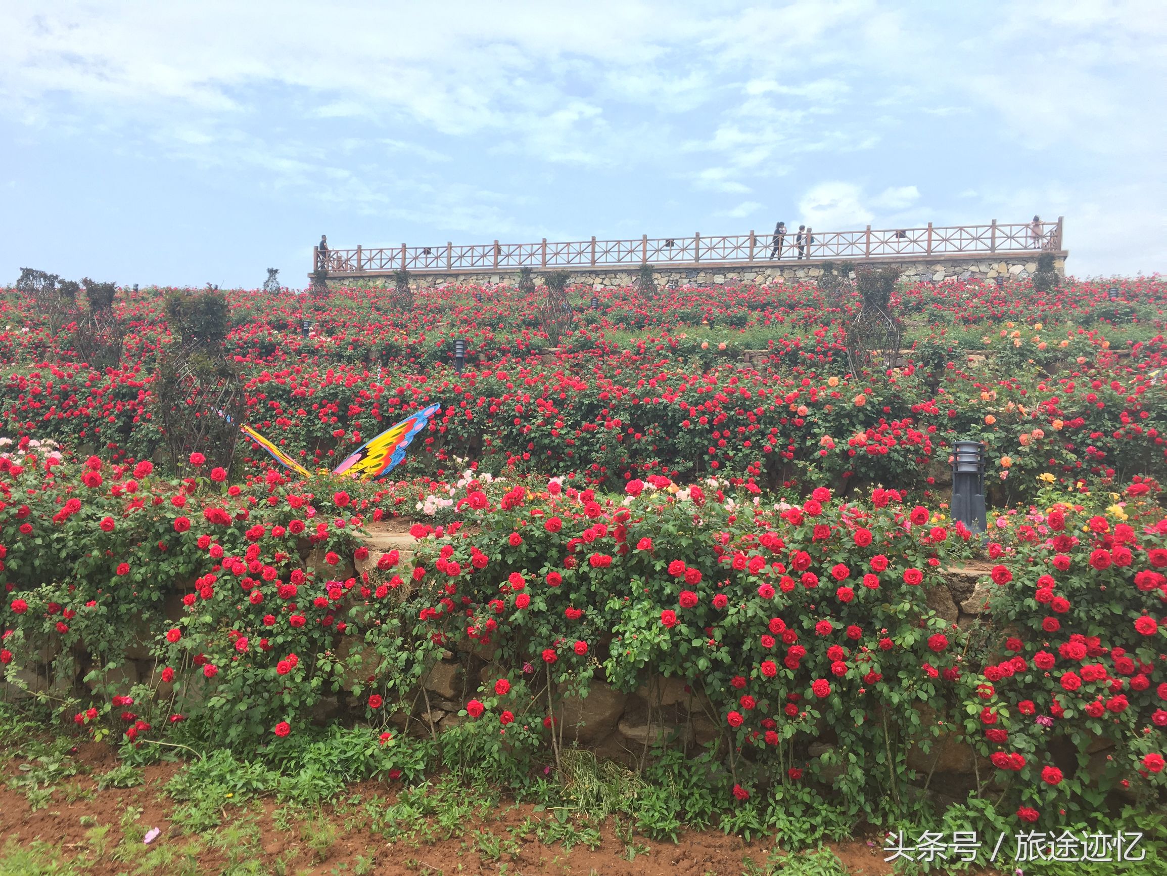 带大家一起来看驻马店老乐山,驻马店老乐山美景