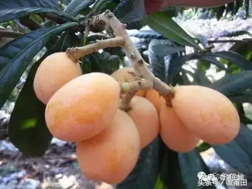 莆田世界之最有哪些,莆田这10年来的变化