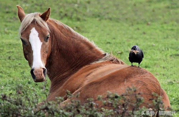 来！给鸦哥上支烟！