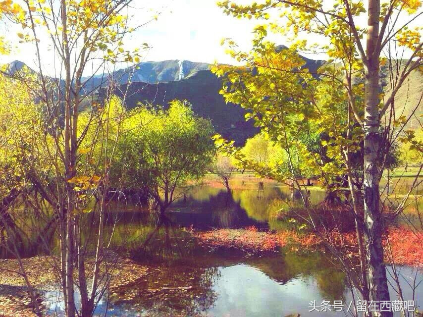 鎷夎惃鍐嶈甯冭揪鎷夊瑙嗛,鎷夎惃鍐嶈钘忔枃璇楁瓕