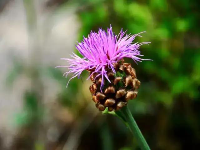 密云很少人知道的地方,密云发现神秘遗址