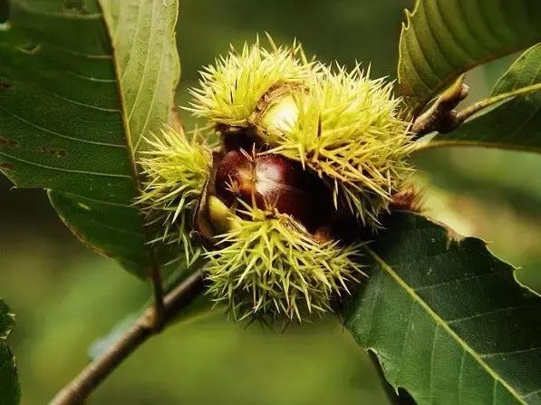 密云很少人知道的地方,密云发现神秘遗址