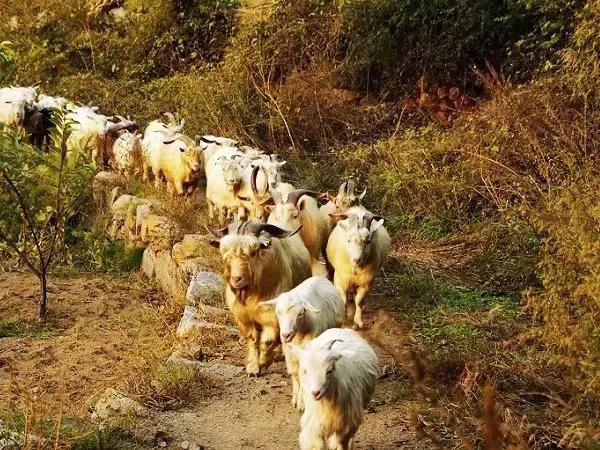 密云很少人知道的地方,密云发现神秘遗址