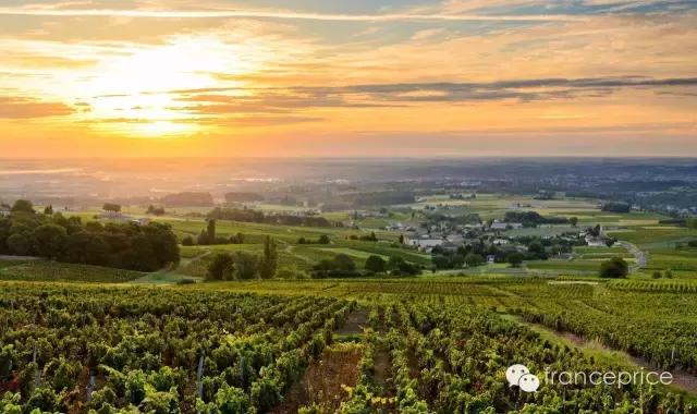 法国博若莱康帝旧桶红酒怎么样,法国2023年博若莱新酒