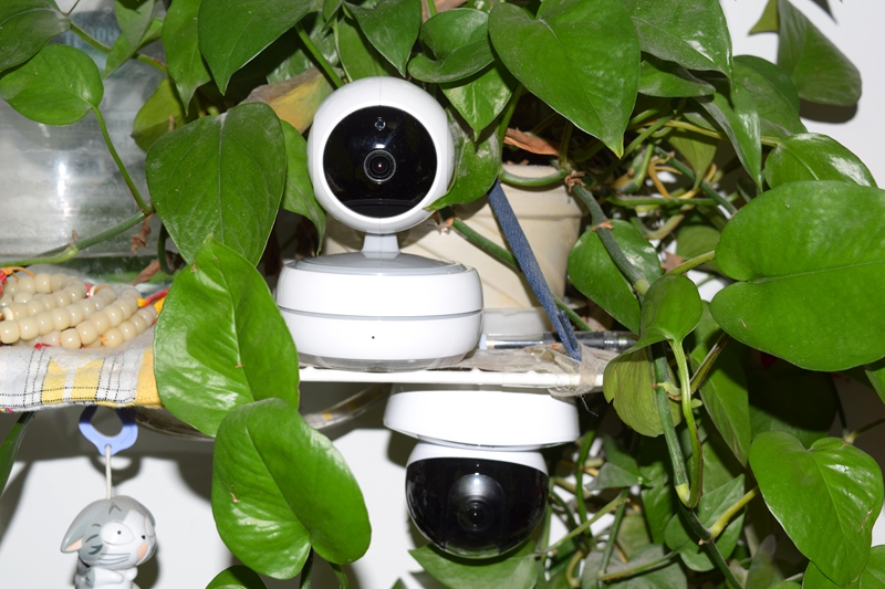 随时随地尽享音箱,随时随地远程监控