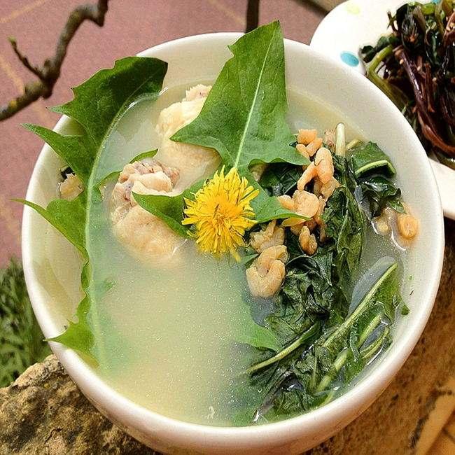 蒲公英对女性健康的好处,蒲公英菊花茶美颜吗