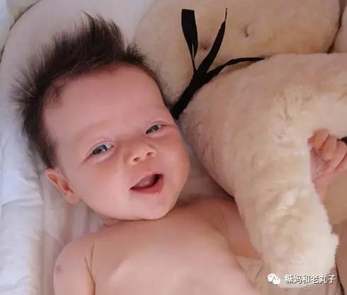 钱会花光人会散它萌不会离开你