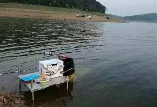 四海钓鱼频道垂钓技巧视频,四海钓鱼频道钓鲤鱼