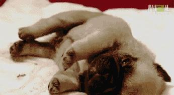 人在睡觉时为什么会突然抖动一下?真相竟是……