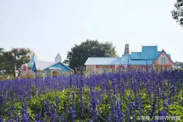 从化毅华温泉特色,从化毅华温泉旅游攻略