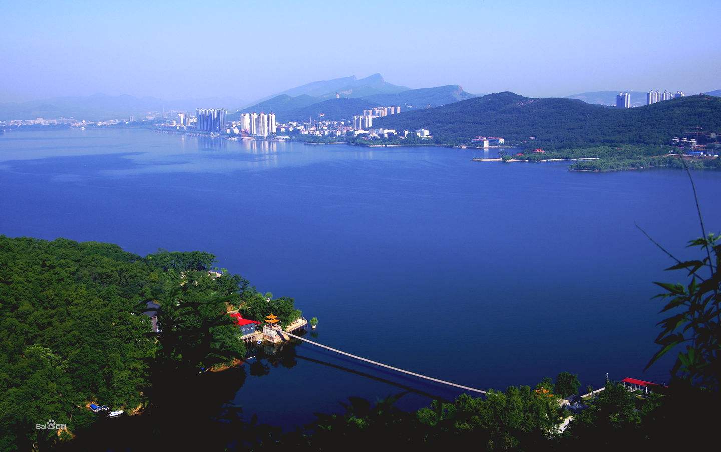 周杰伦舒淇照片,舒淇周杰伦演唱会