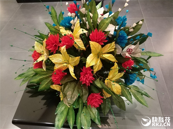 老外观看小米汽车之后的感受,老外赞叹中国美景反应视频