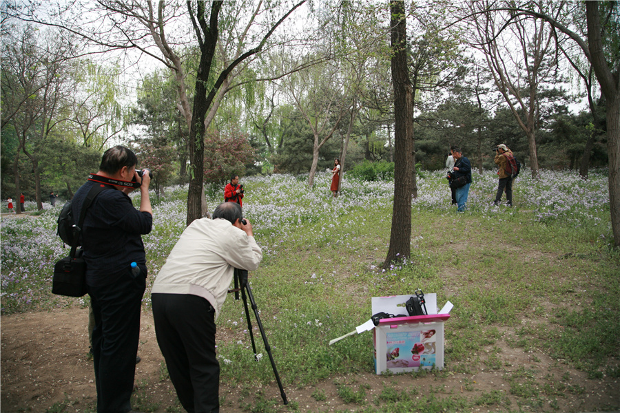 “劲捷杯”最美春·途摄影大赛兴隆公园外拍活动花絮