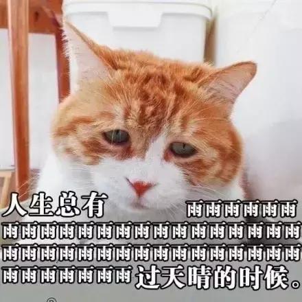 误删万字长文,凌晨哭着重写|42个新媒体人的最惨故事