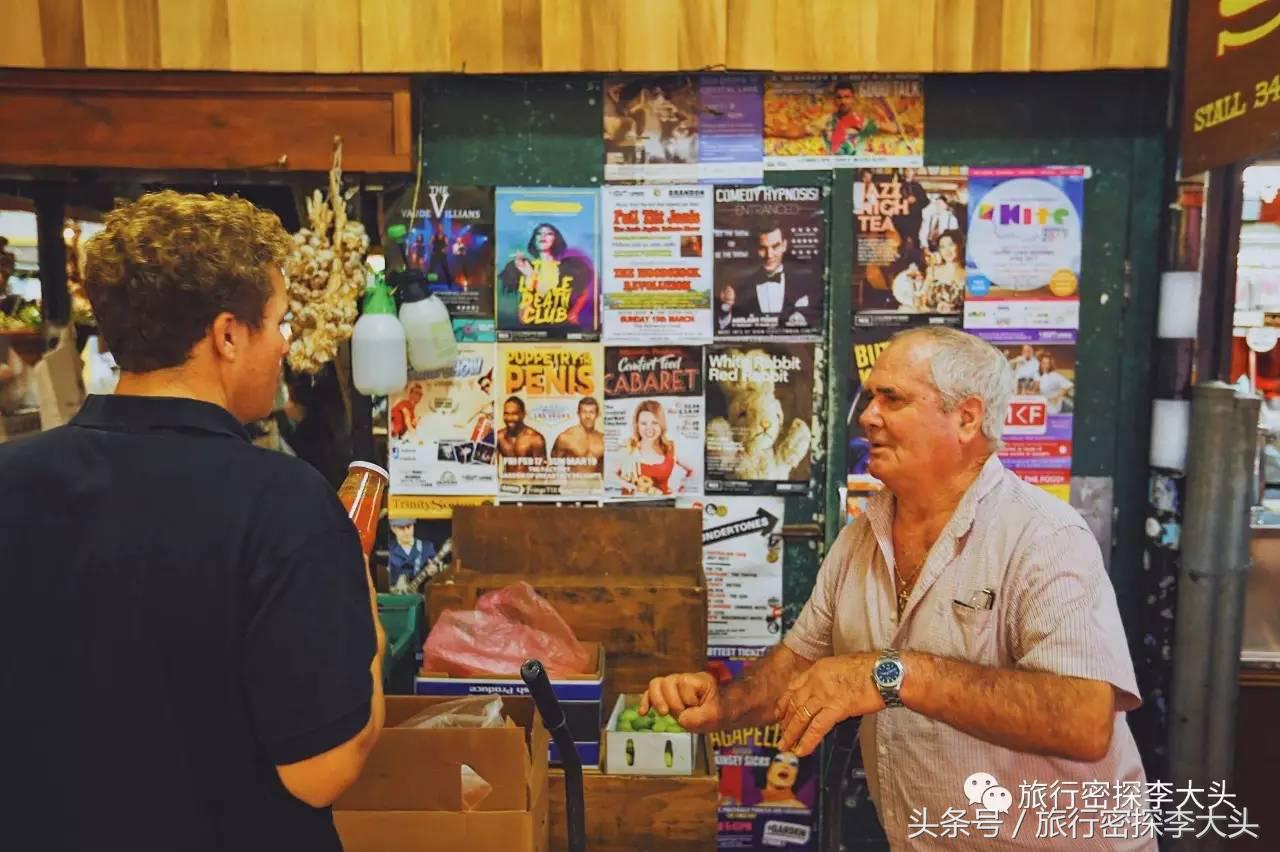 中国哪里可以抱考拉,全球哪里可以抱考拉