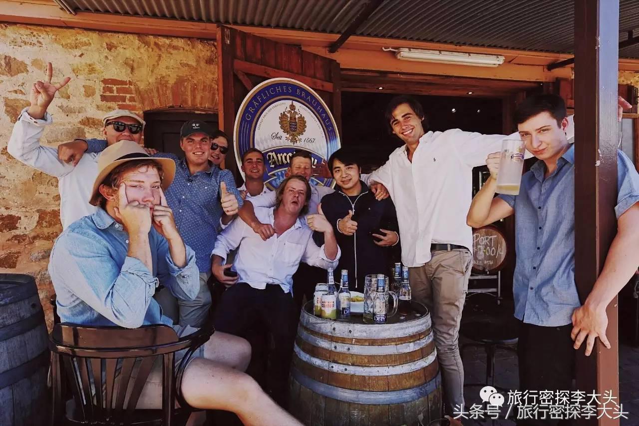 中国哪里可以抱考拉,全球哪里可以抱考拉