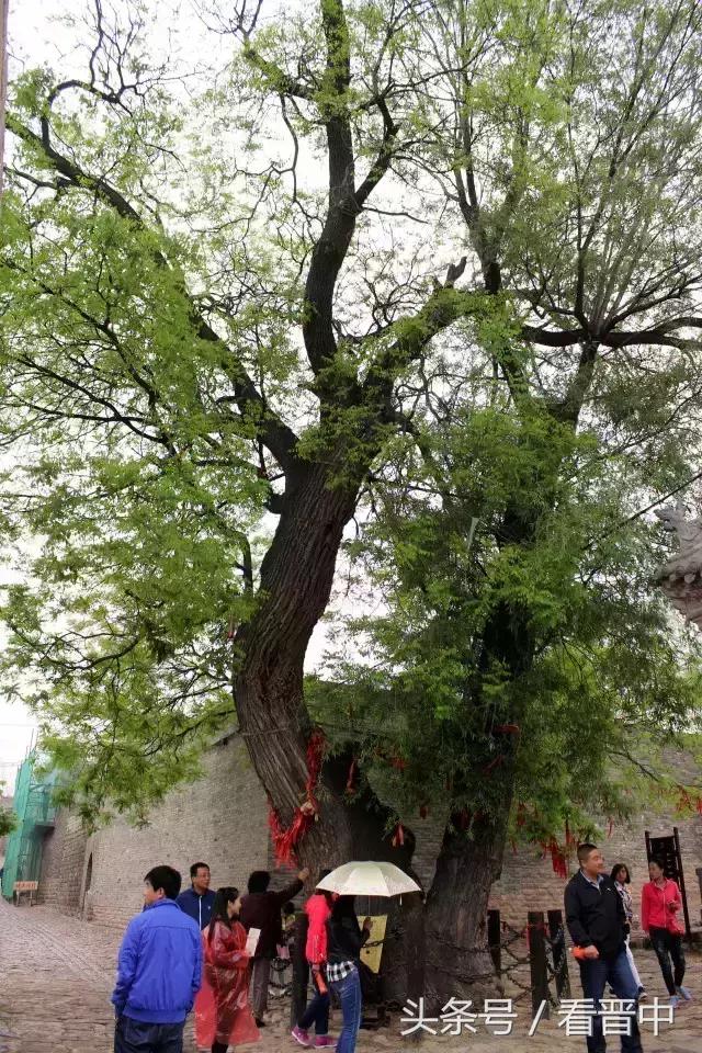 张壁古堡的历史和结构,张壁古堡的来历及简介