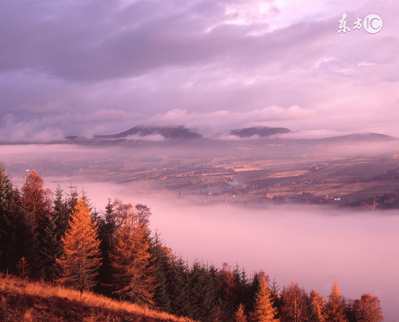 心理症状量表评估测试,心理行为评估自评量表