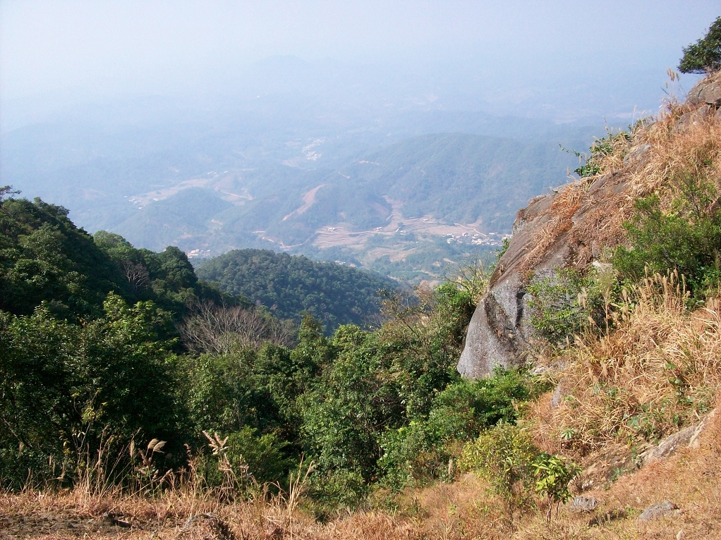 中国桂圆之乡广西博白,广西博白县桂圆柚之乡