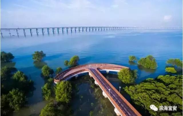 4条社区微巴直达西湾公园，这个“五一”来宝安看海天美景