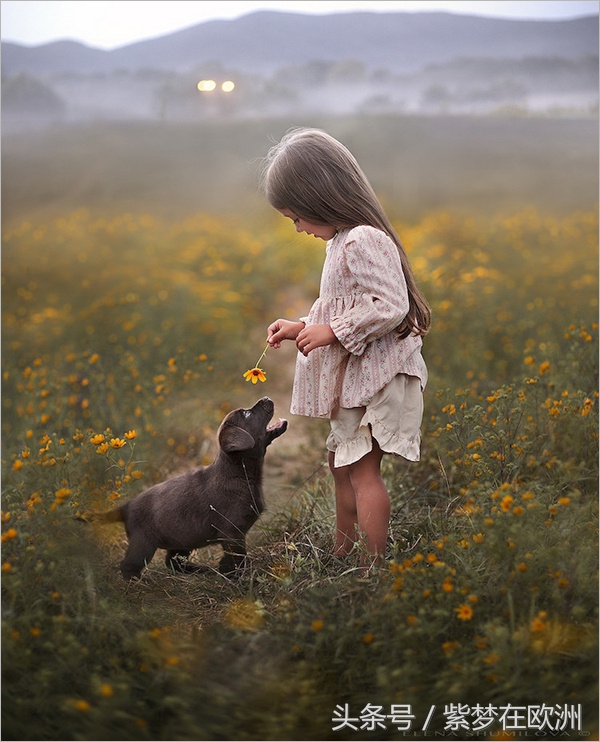 国外奶粉不适合中国宝宝,为什么国外的奶粉让人放心