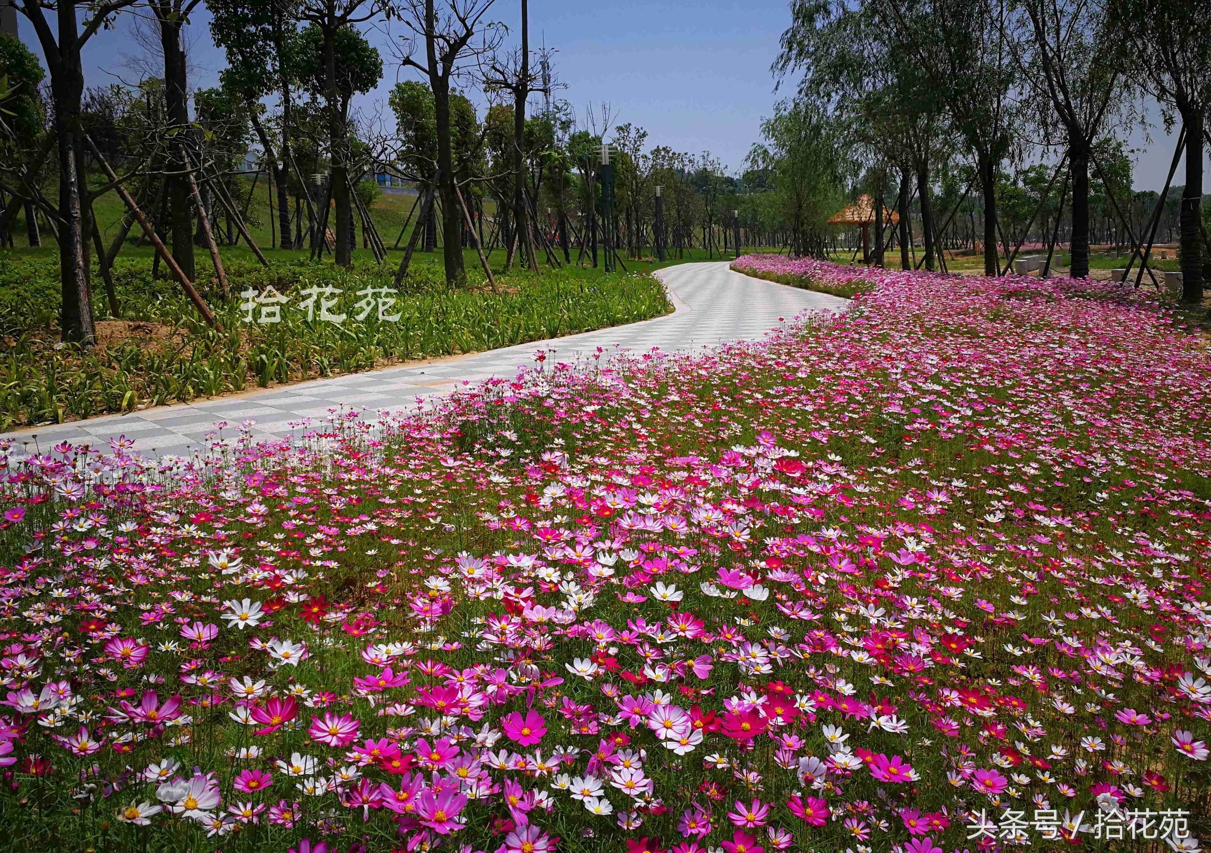 福州五一海边旅游推荐,福州五一海边游